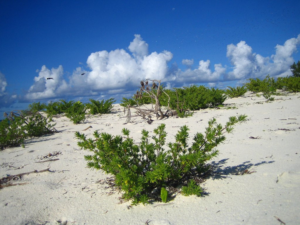 Остров Бёрд. Фото 2 – фотографии Сейшельских островов