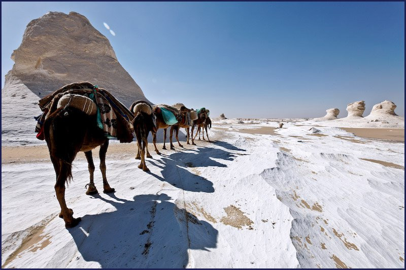 Египет, фото № 547 – фотографии Египта