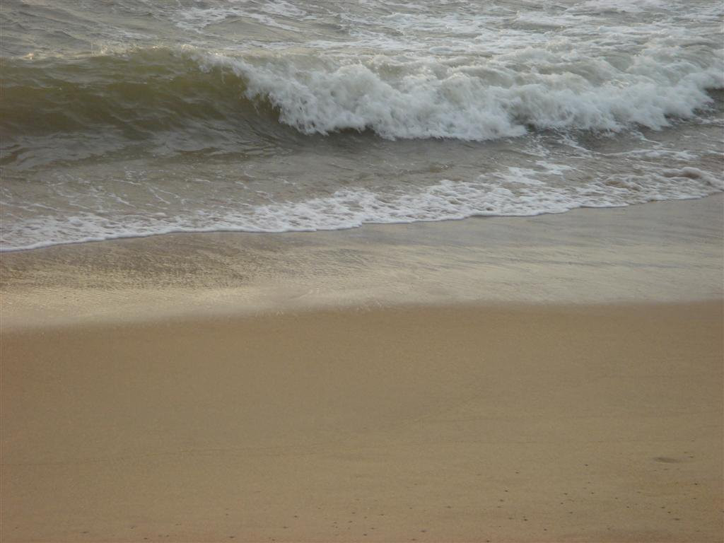 Негомбо, Шри-Ланка, фото № 51913 – фотографии Шри-Ланки