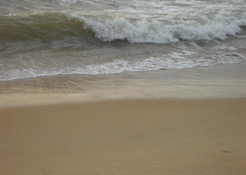 Негомбо, Шри-Ланка, фото № 51913 – фотографии Шри-Ланки