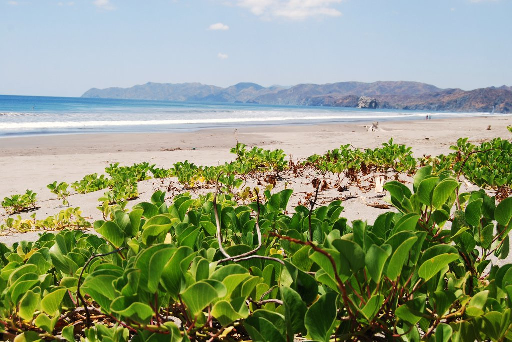 Санта Роза Национальный Парк, Гуанакасте провинция, Коста-Рика, фото № 39336 – фотографии Коста-Рики