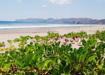 Санта Роза Национальный Парк, Гуанакасте провинция, Коста-Рика, фото № 39336 – фотографии Коста-Рики