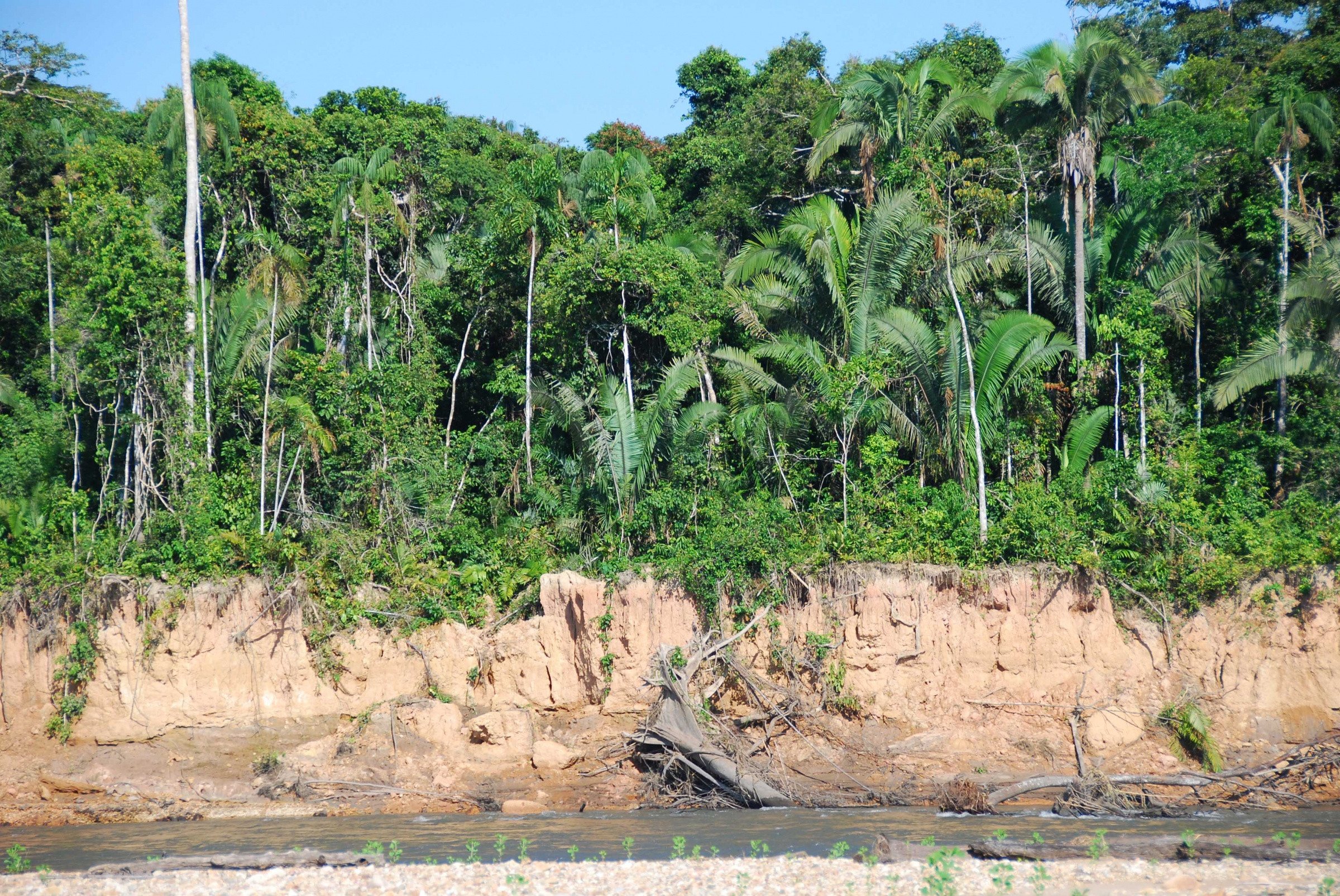 Заповедник Тамбопата в Перу – фотографии Перу