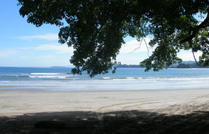 Плайя Брасилито, Гуанакасте провинция, Коста-Рика, фото № 39444 – фотографии Коста-Рики