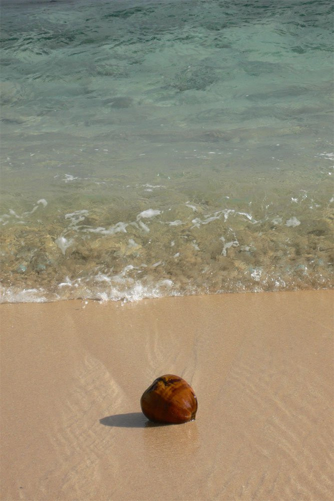 Вайа остров, Ясава группа островов, Фиджи, фото № 49838 – фотографии Фиджи