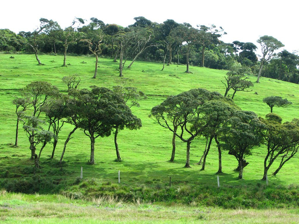 Нувара Элия, Шри-Ланка, фото № 52061 – фотографии Шри-Ланки