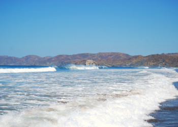 Санта Роза Национальный Парк, Гуанакасте провинция, Коста-Рика, фото № 39342 – фотографии Коста-Рики