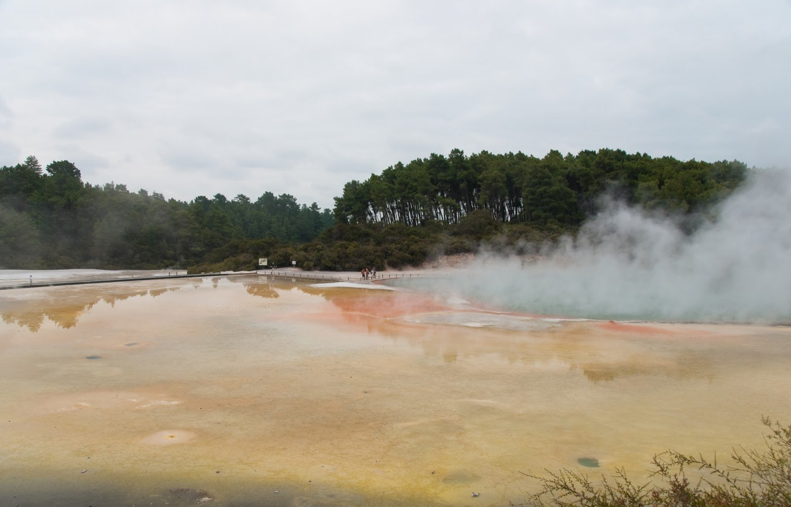 Северный остров, Новая Зеландия, фото № 74249 – фотографии Новой Зеландии