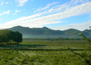 Катарагама, Шри-Ланка, фото № 51461 – фотографии Шри-Ланки