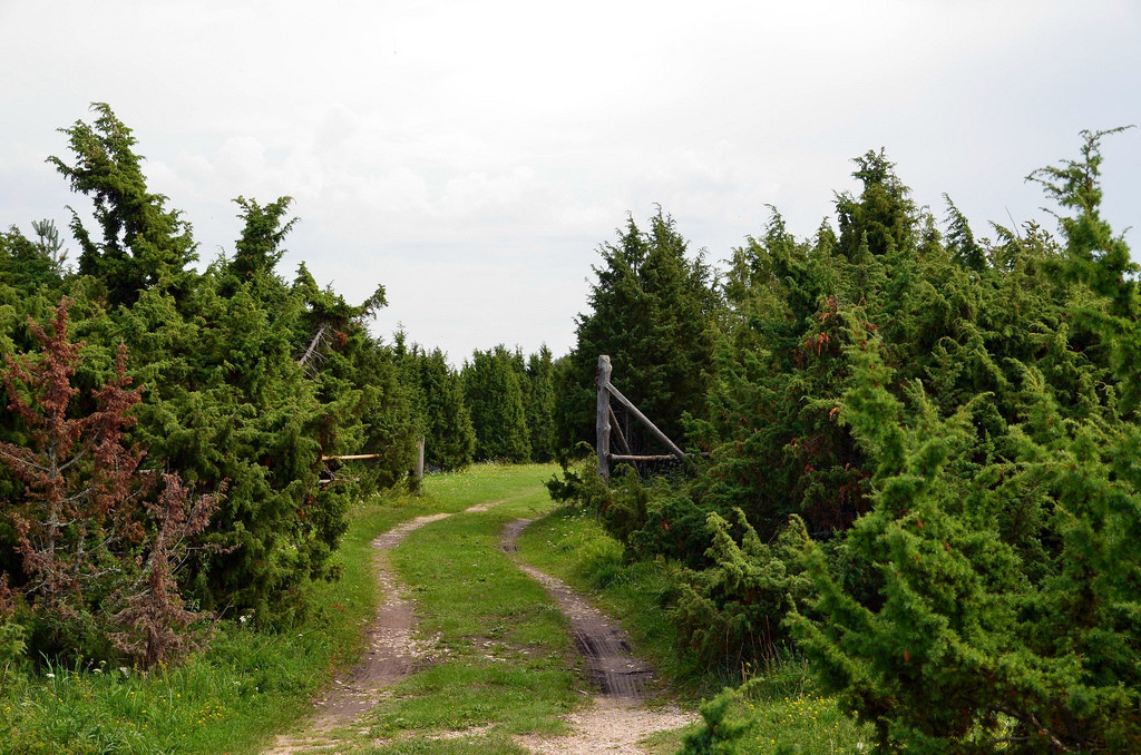 Вормси (Vormsi) – фотографии Эстонии