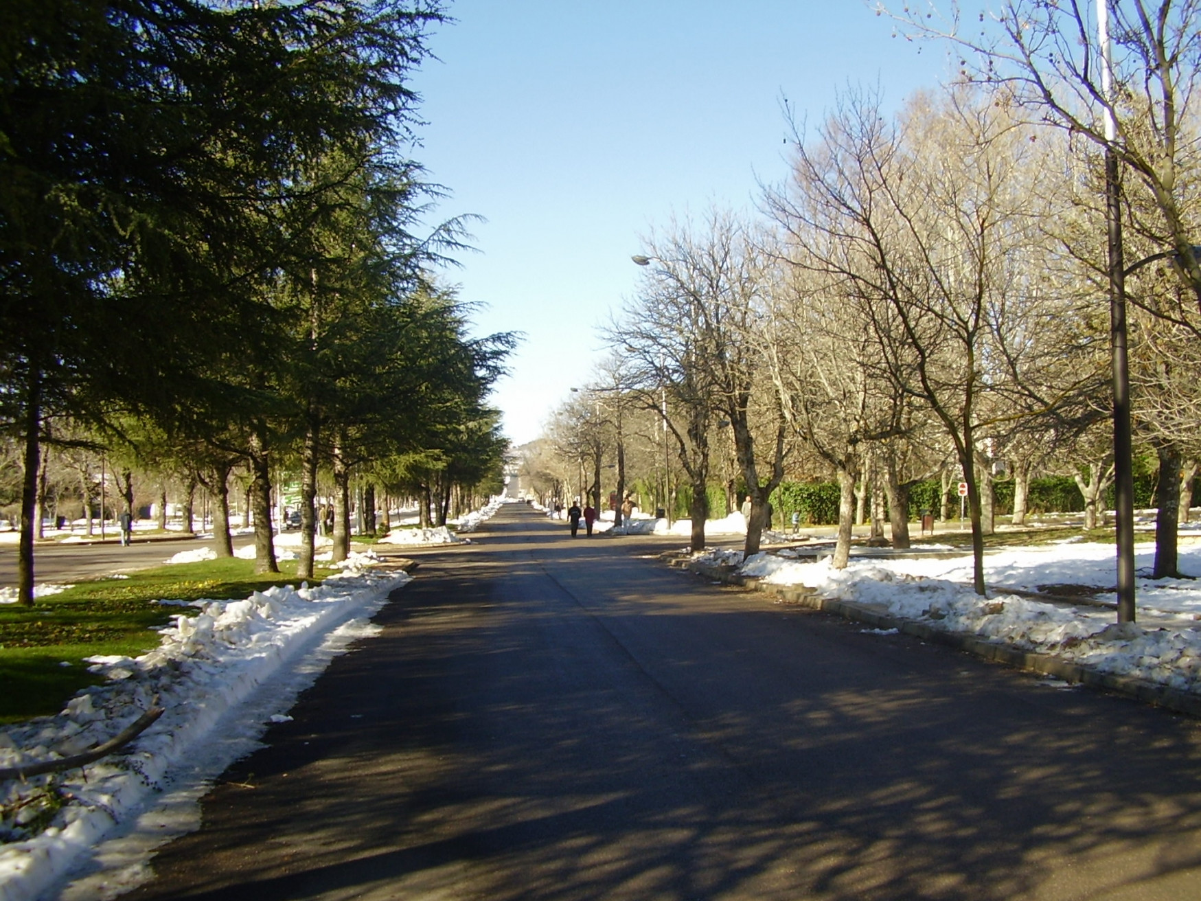 Ифран, Марокко, фото № 7497 – фотографии Марокко