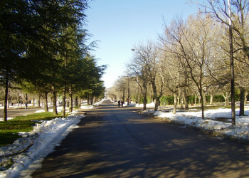 Ифран, Марокко, фото № 7497 – фотографии Марокко