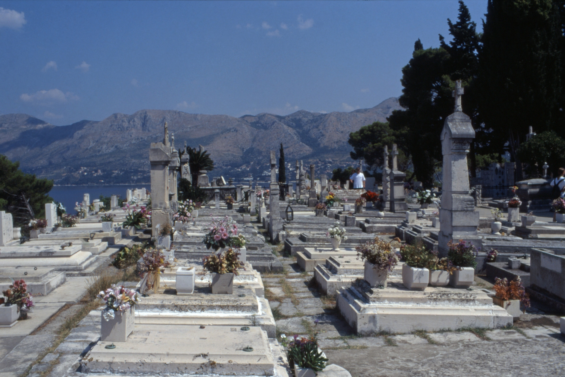 Кладбище в Цавтате, Хорватия. Фото 1 – фотографии Хорватии