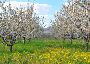 Болгария, фото № 3393 – фотографии Болгарии