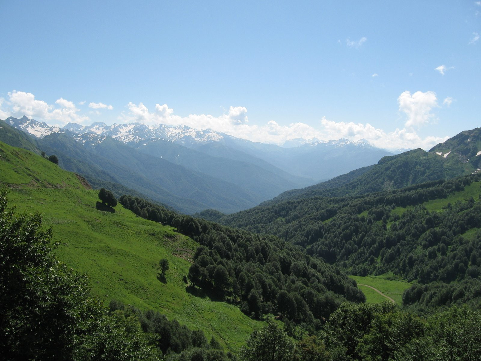 Природа Абхазии. Фото 1 – фотографии Абхазии