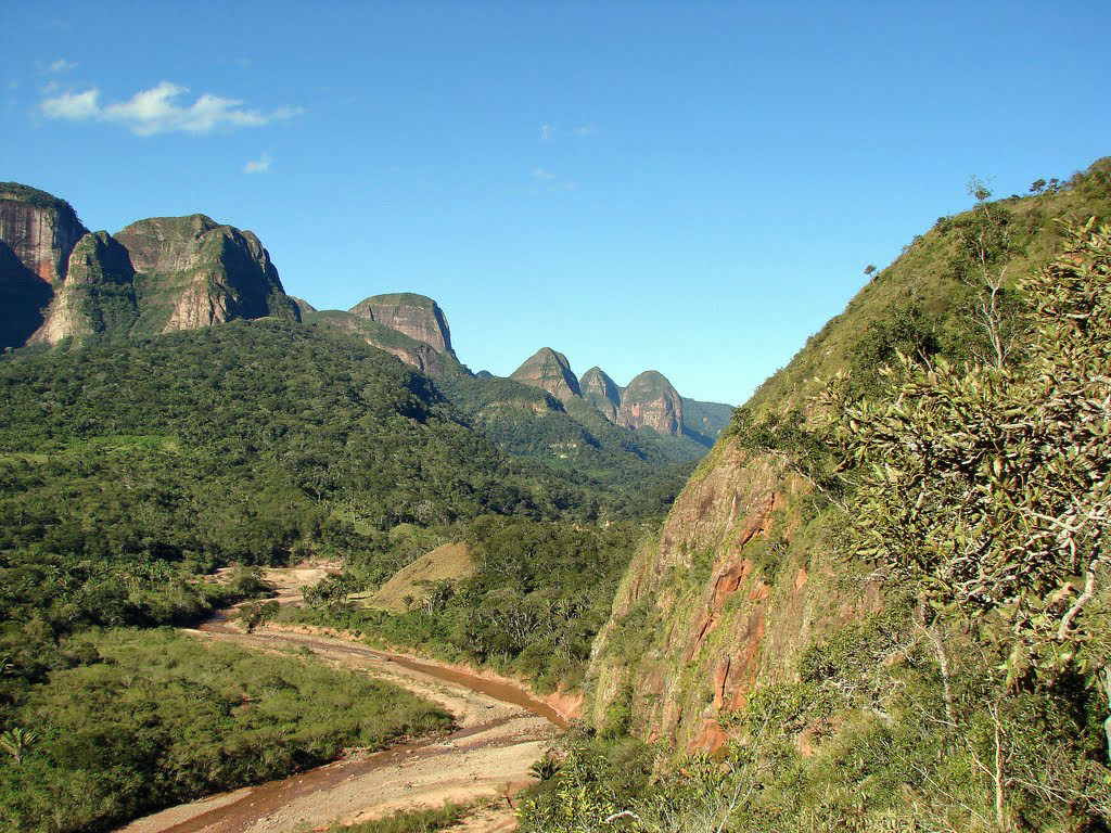Природа национального парка Амборо – фотографии Боливии