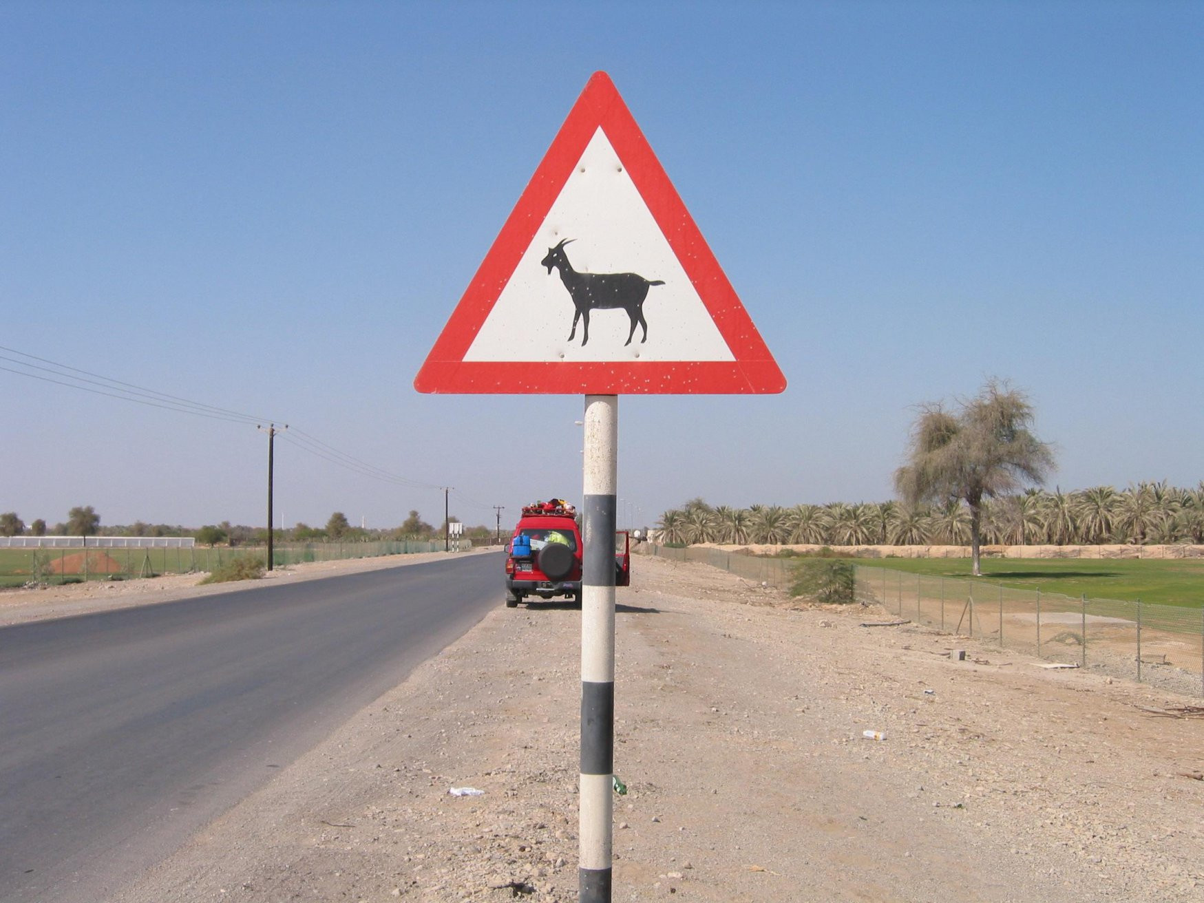Рас-аль-Хайма, ОАЭ, фото № 61083 – фотографии ОАЭ