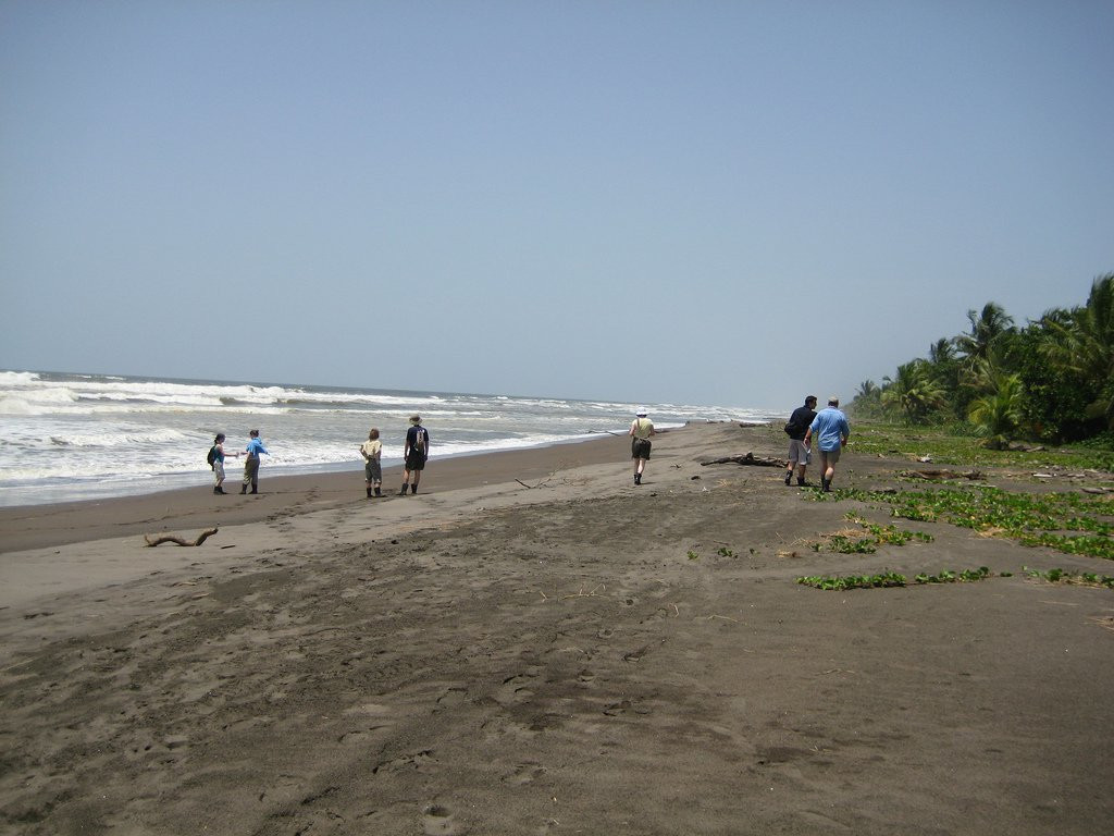 Тортугеро Национальный парк, Лимон провинция, Коста-Рика, фото № 40350 – фотографии Коста-Рики