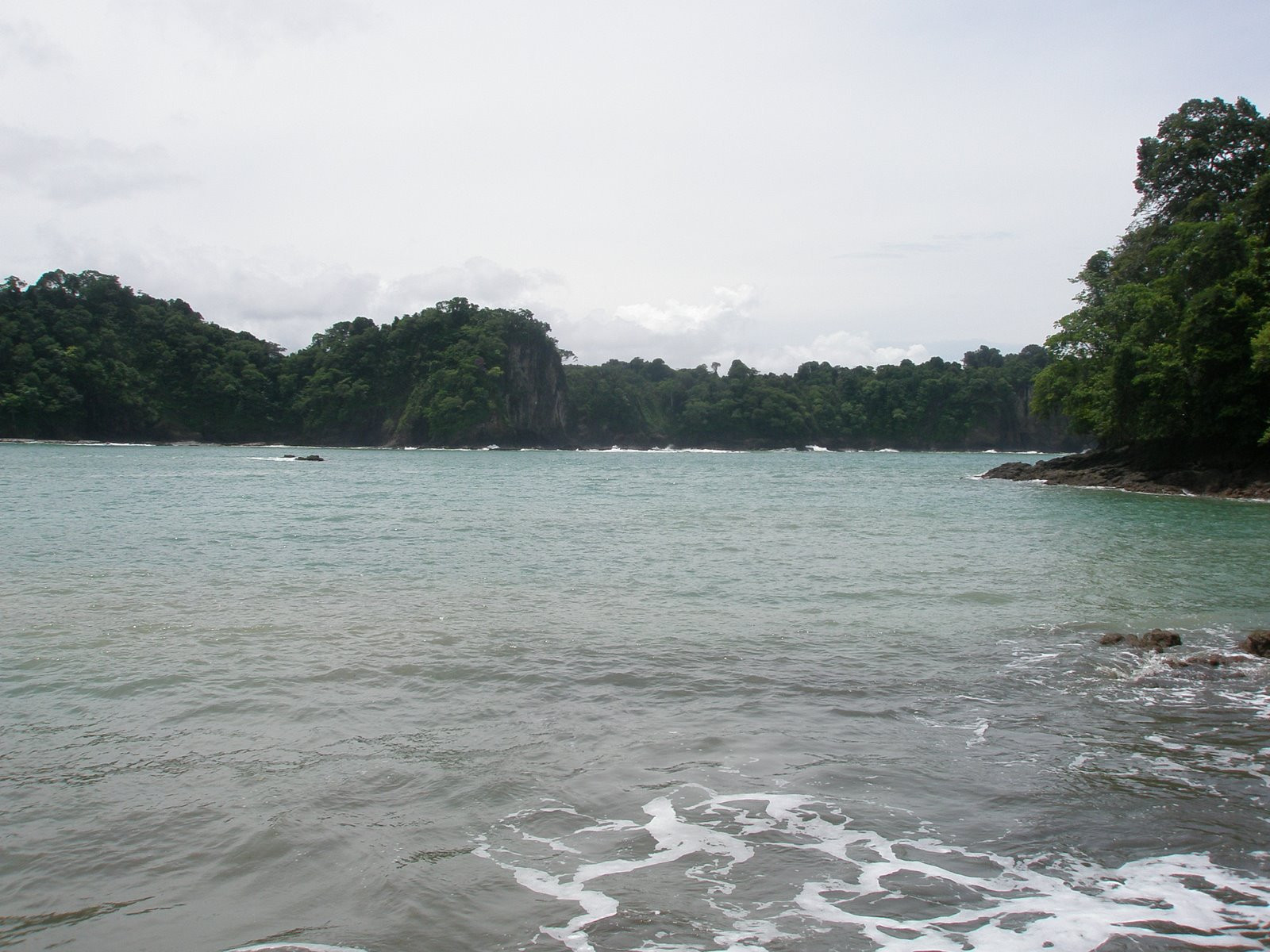 Мануэль Антонио, Пунтаренас провинция, Коста-Рика, фото № 40617 – фотографии Коста-Рики