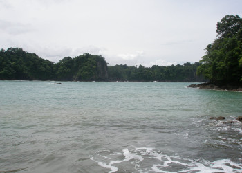 Мануэль Антонио, Пунтаренас провинция, Коста-Рика, фото № 40617 – фотографии Коста-Рики