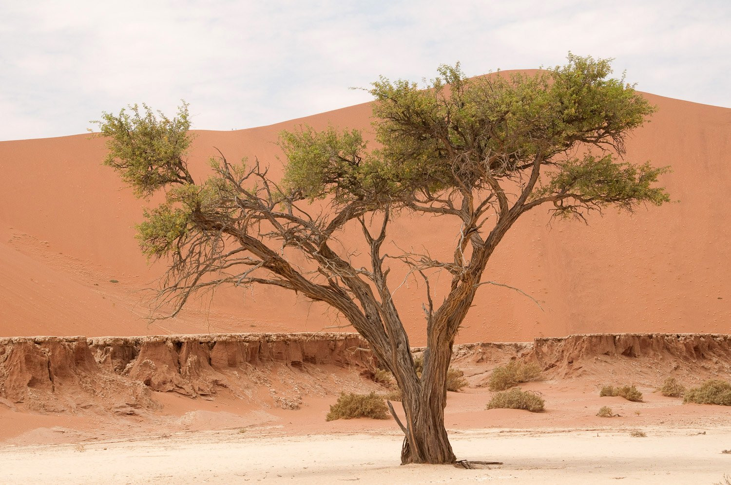 Намибия, фото № 5550 – фотографии Намибии