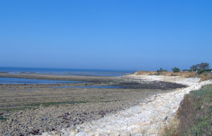 Отлив на острове Олерон, Франция – фотографии Франции