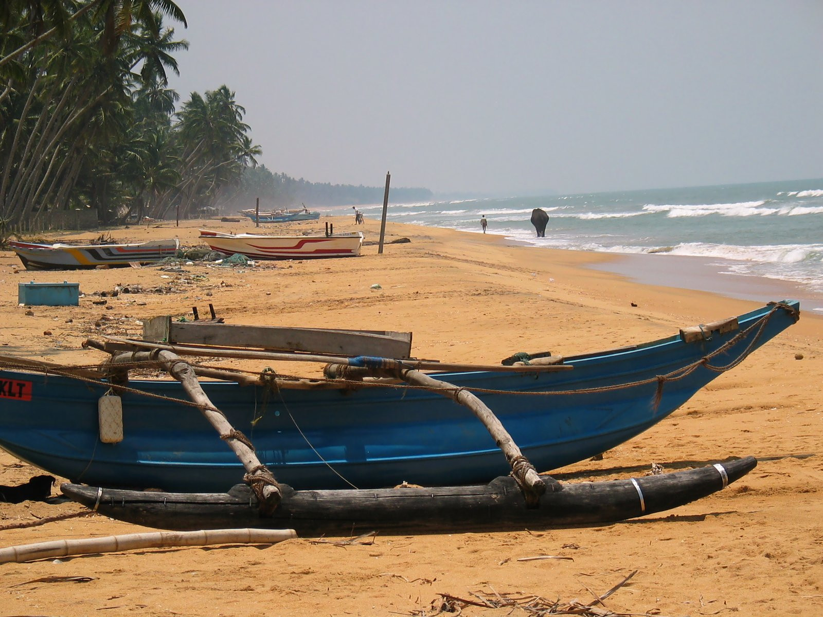Ваддува, Шри-Ланка, фото № 50813 – фотографии Шри-Ланки