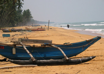 Ваддува, Шри-Ланка, фото № 50813 – фотографии Шри-Ланки