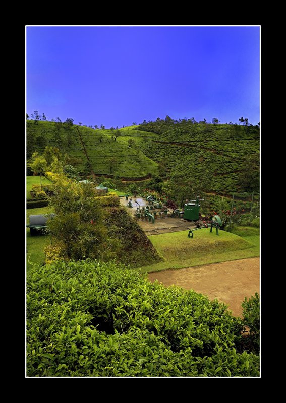 Нувара Элия, Шри-Ланка, фото № 52068 – фотографии Шри-Ланки