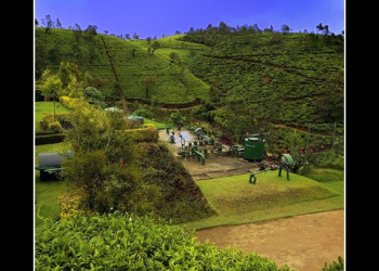 Нувара Элия, Шри-Ланка, фото № 52068 – фотографии Шри-Ланки