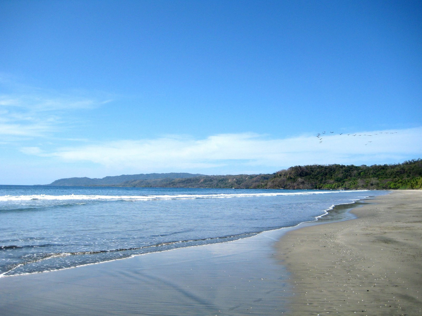 Плайя Гранде, Гуанакасте провинция, Коста-Рика, фото № 39456 – фотографии Коста-Рики