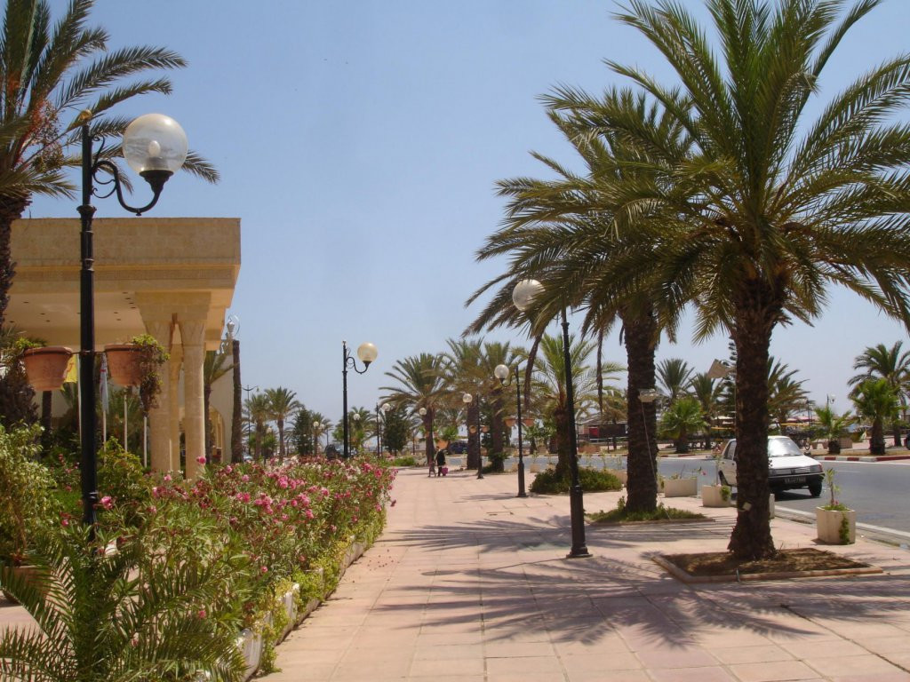 Улица в Северном Тунисе. Фото 13 – фотографии Туниса