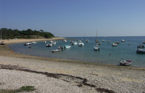 Яхты и катера на острове Ре, Франция – фотографии Франции