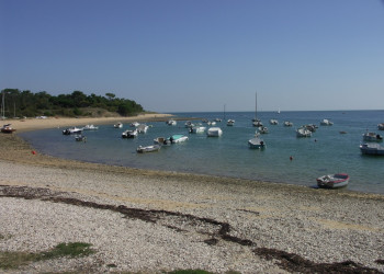 Яхты и катера на острове Ре, Франция – фотографии Франции