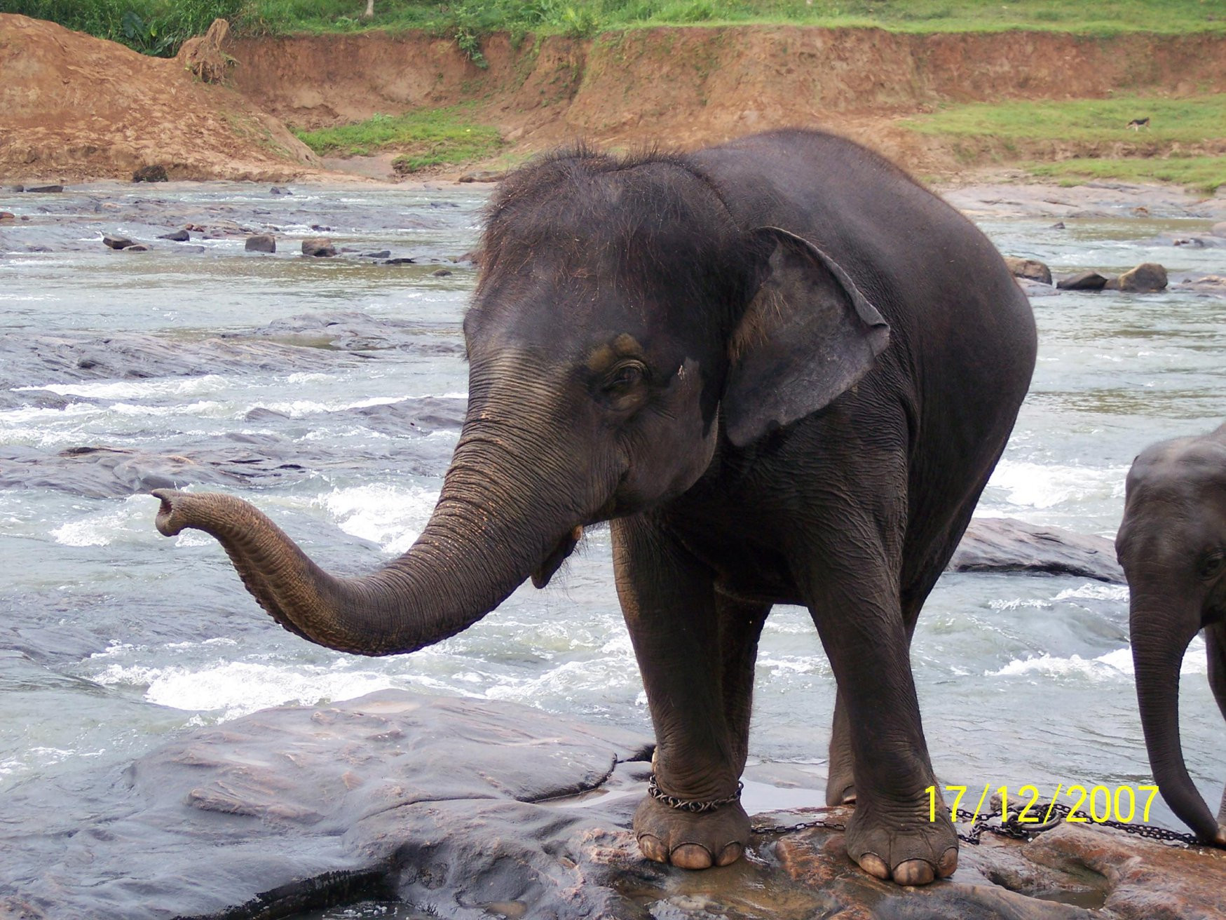 Шри-Ланка, фото № 1187 – фотографии Шри-Ланки