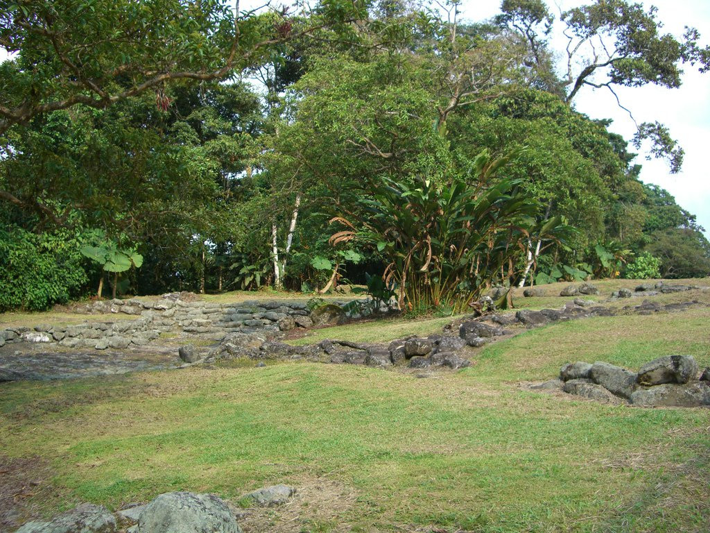 Гуаябо, Картаго провинция, Коста-Рика, фото № 39157 – фотографии Коста-Рики