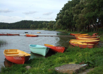 Озеро возле Палуше – фотографии Литвы