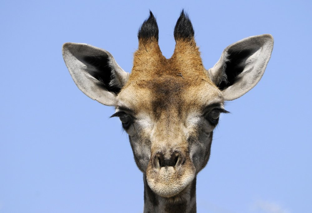 Namibia – фотографии Намибии