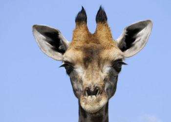 Namibia – фотографии Намибии