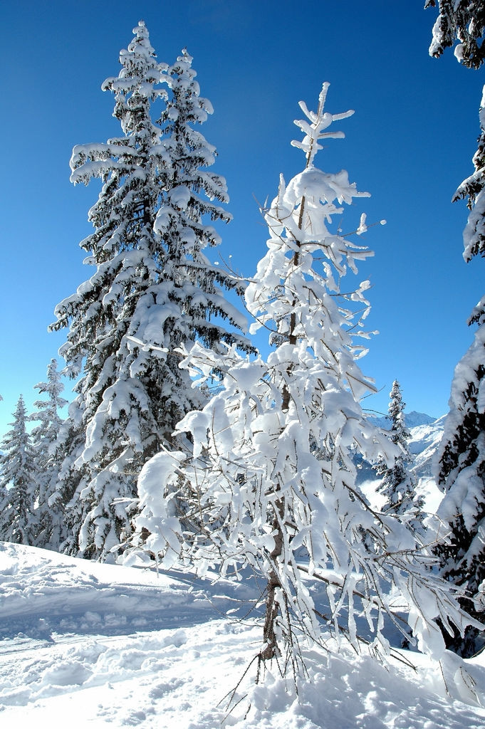 Пейзаж в Ла-Розиере, Франция. Фото 1 – фотографии Франции