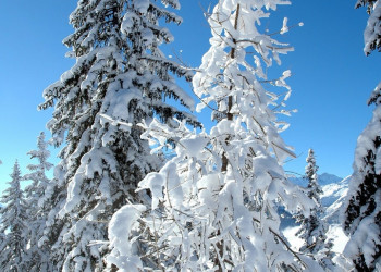 Пейзаж в Ла-Розиере, Франция. Фото 1 – фотографии Франции