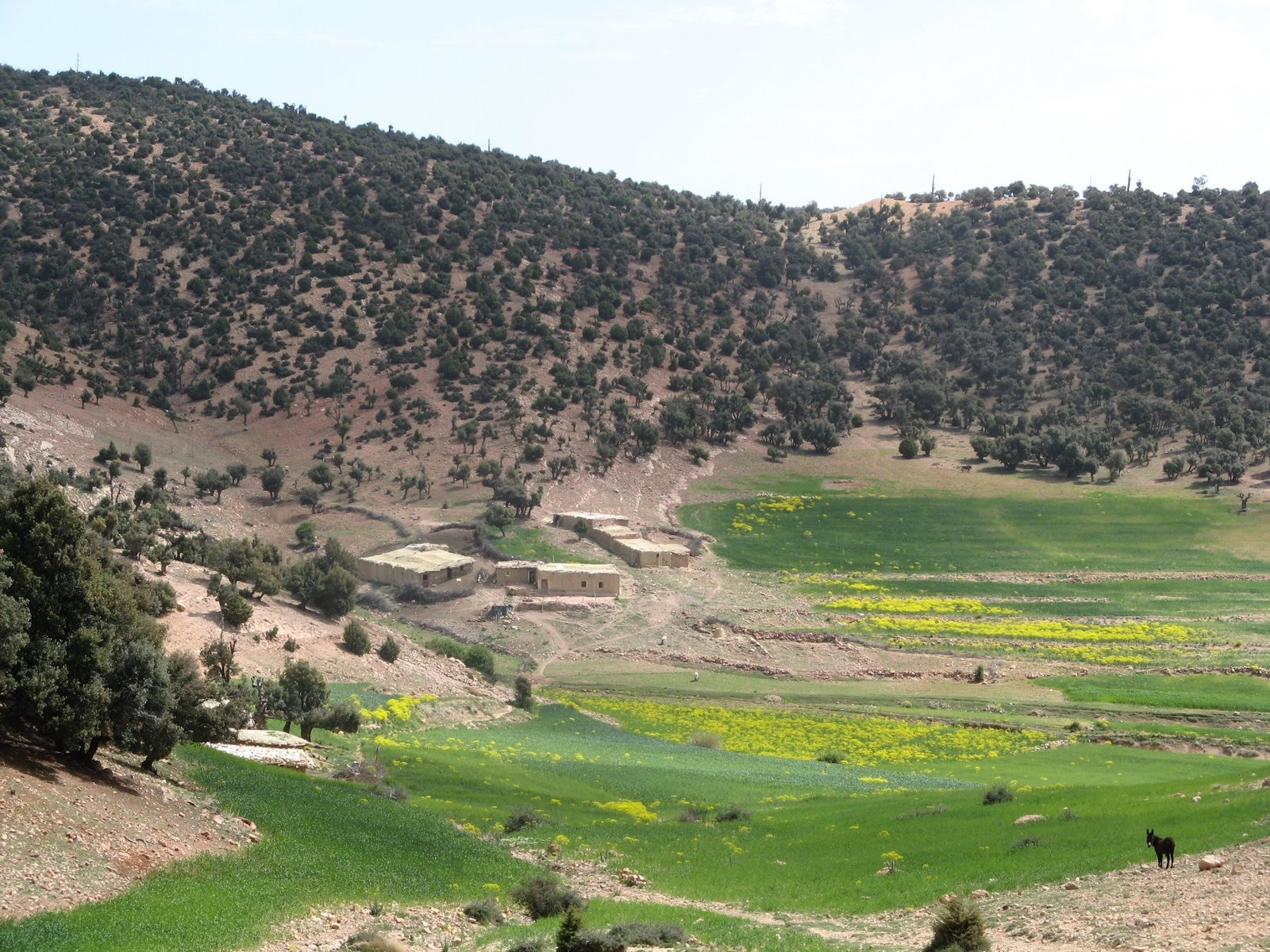 Марокко, фото № 80 – фотографии Марокко