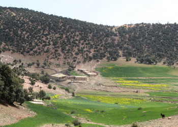 Марокко, фото № 80 – фотографии Марокко