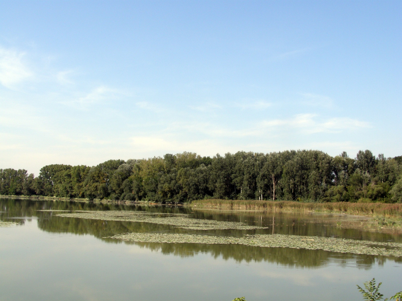 Донау-Ауэн (Donau-Auen) или Пойма Дуная – фотографии Австрии