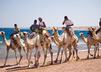 Дахаб, Египет, фото № 74116 – фотографии Египта