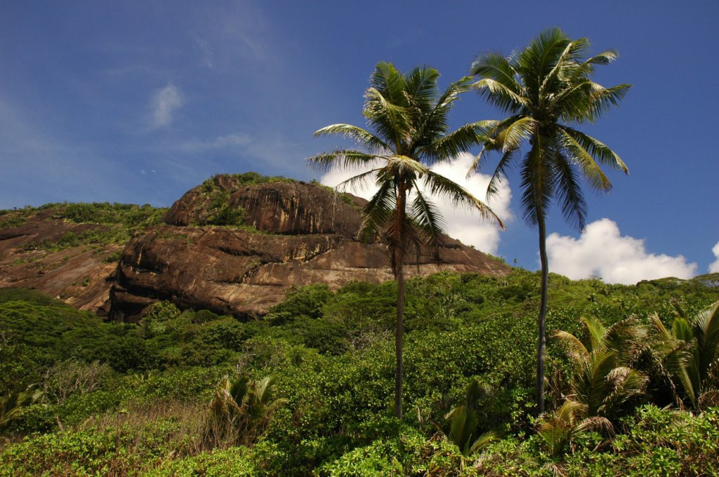 Природа острова Силуэт, Сейшелы. Фото 5 – фотографии Сейшельских островов