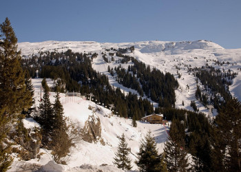 Природа в Флэйн, Франция. Фото 4 – фотографии Франции