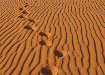 Вади Рам, Иордания, фото № 36457 – фотографии Иордании