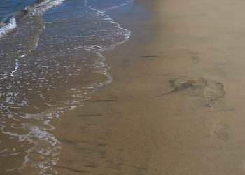 Пацифик Харбор, Вити Леву остров, Вити Леву группа островов, Фиджи, фото № 49583 – фотографии Фиджи