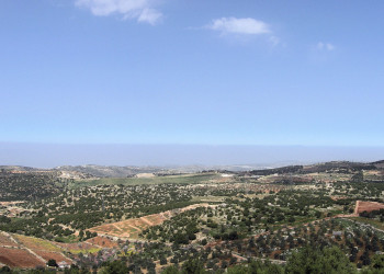 Аджлун, Иордания, фото № 35933 – фотографии Иордании